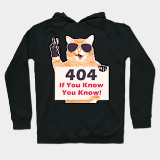 404 Hoodie